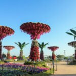 Gujarat: Ahmedabad flower show 2026 to dazzle Sabarmati Riverfront (Lead)
