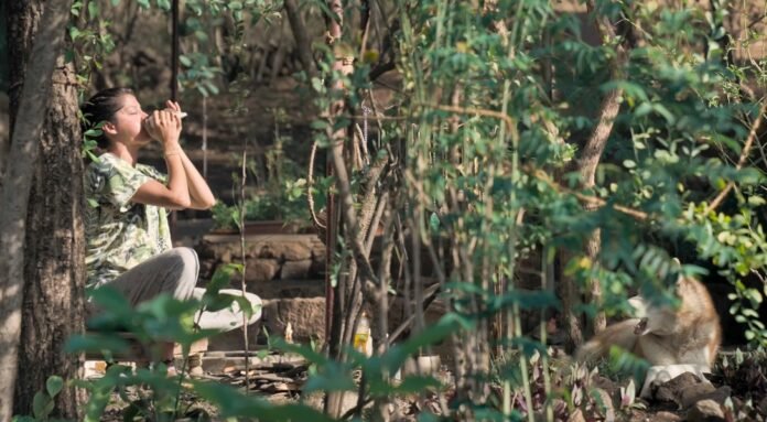 John Abraham on teaser of ‘Oslo: A Tail of Promise’: It asks us to pause, listen, and see life through another being’s eyes