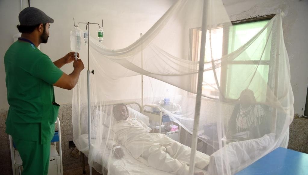 Pakistan: Two more dengue deaths raises Sindh's 2025 toll to 29