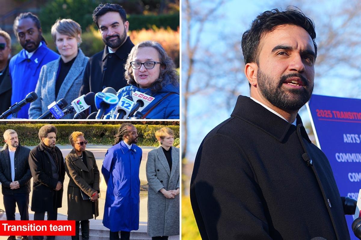 NYC DSA leaders get coveted roles in Zohran Mamdani transition as he crams de Blasio survivors, lefty advocates onto committees