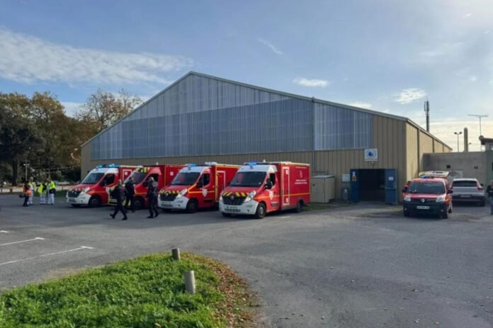 Driver shouts ‘Allahu Akbar’ after plowing into 10 pedestrians, critically injuring 4 in France rampage: report