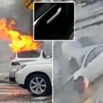 Tesla sued over crash of Model 3 that ‘exploded into a raging fire,’ killing 1