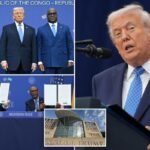 Trump boasts heads of Rwanda and Congo will be ‘hugging, holding hands’ as they sign US-brokered peace deal