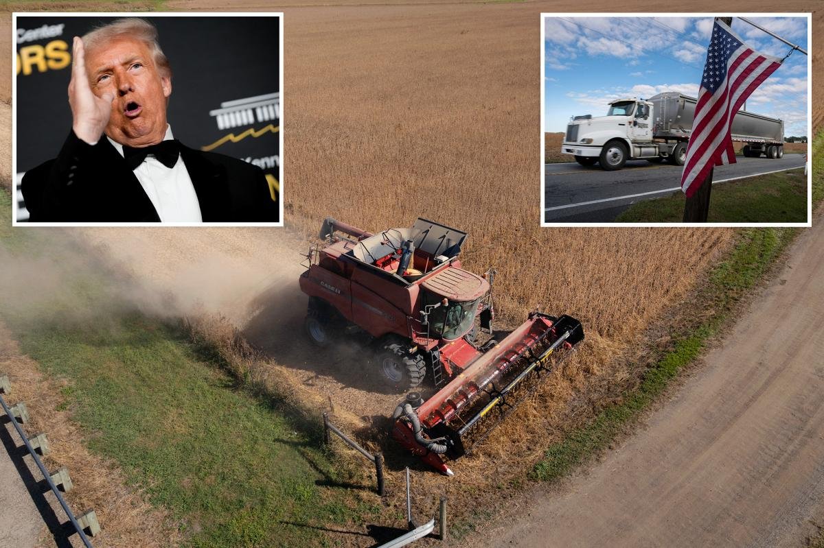 Trump to announce $12B in fresh economic assistance for farmers