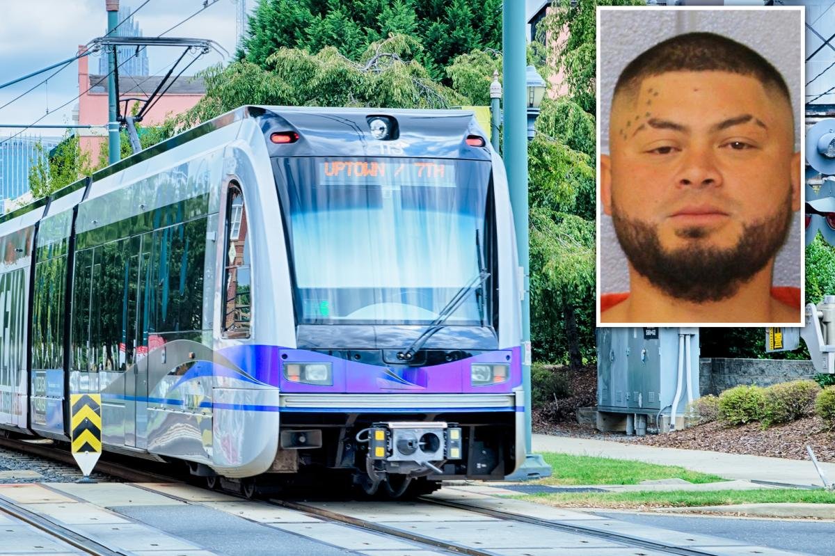 Man stabbed by illegal migrant on NC train was good Samaritan trying to help other riders: authorities