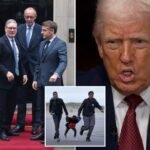 Trump eviscerates ‘weak’ European leaders: ‘Destroying their countries’