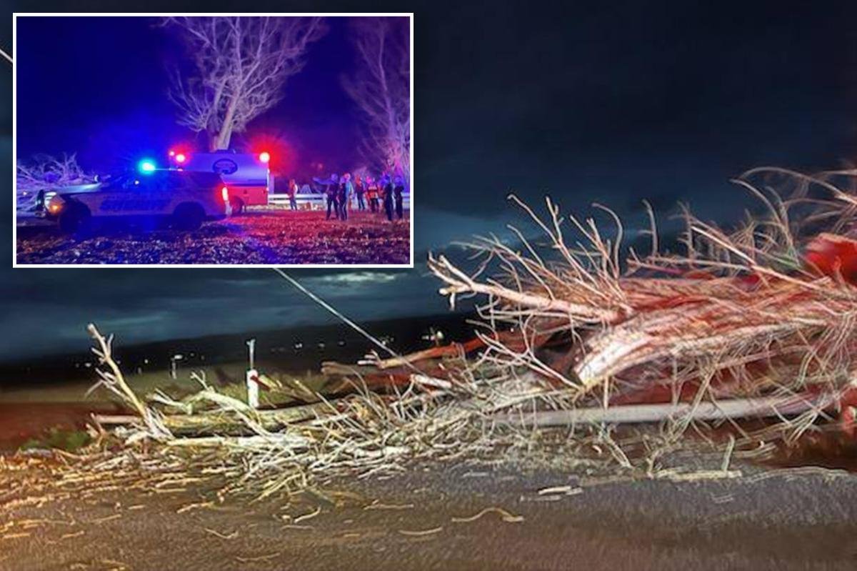 Two kids waiting for the bus critically injured due to strong winds in Idaho