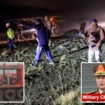 Libya’s military chief, 7 others killed in a plane crash in Turkey