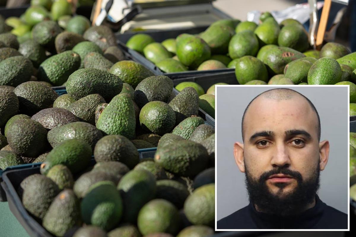 Florida man allegedly stole 400 pounds of avocados to buy Christmas presents for children