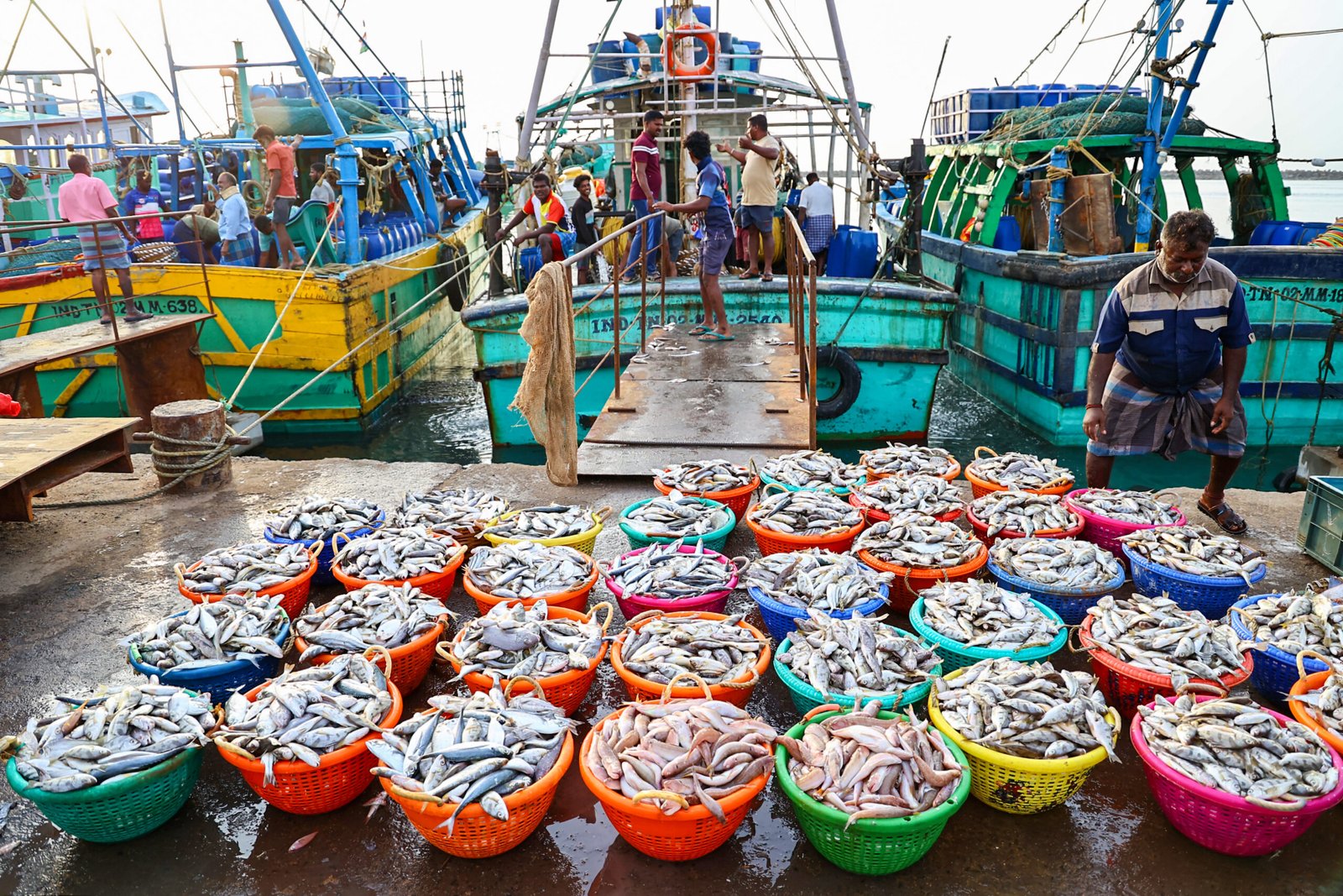 India's fish production has surged by 38 per cent under PMMSY: Minister