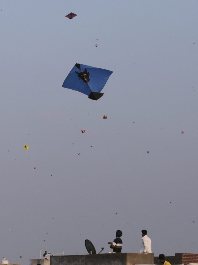 Chinese manjha valued at over Rs 8 lakh seized in Ahmedabad