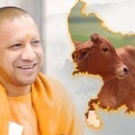 CM Yogi-led UP govt's 'Nandini Krishak Samriddhi Yojana' paves the way for prosperity