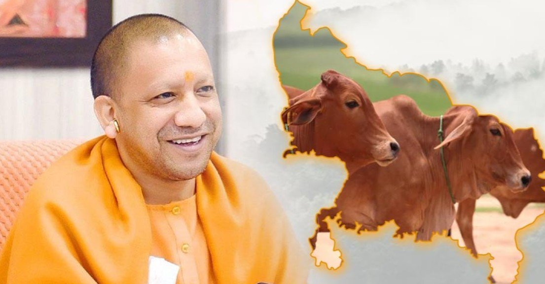 CM Yogi-led UP govt's 'Nandini Krishak Samriddhi Yojana' paves the way for prosperity