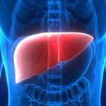 New monoclonal antibody safe and effective for rare liver disease