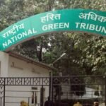 NGT orders ban on tree cutting for road widening in Bhopal till Jan 8