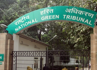 NGT orders ban on tree cutting for road widening in Bhopal till Jan 8
