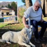 Beloved family dog inspires Altadena’s first fully rebuilt house after devastating Eaton Fire