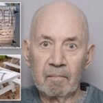 Geezer who terrorized Jewish-owned businesses with Nazi graffiti given slap on the wrist