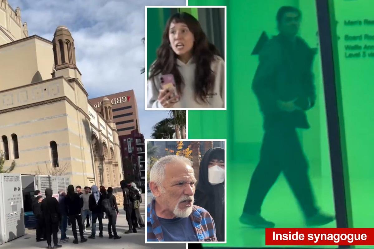 Horrifying video shows antisemitic protester mob storm LA Synagogue, spew hateful threats at Jewish bystanders