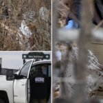 Human skull found in bushes near Coney Island boardwalk, as searches continue for more remains: cops