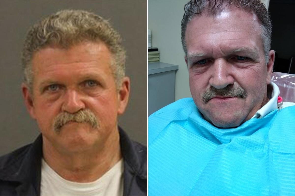 ‘Special place in hell’ for man accused of killing pregnant dog: prosecutor