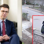 Cops investigating whether Brown, MIT murders are connected — after days of unsuccessful manhunts