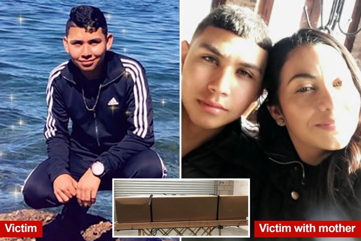 Mexican national executed US teen hostage in Tijuana while family scrambled to pay $3K or meth ransom