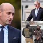 Stephen Miller calls billion-dollar Minnesota welfare scam ‘single greatest theft of taxpayer dollars’ with dozens of Somali migrants convicted