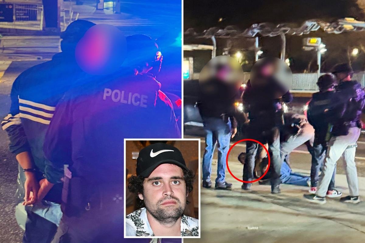 Dramatic moment Rob Reiner’s son Nick was handcuffed and arrested for parents’ murder caught on camera