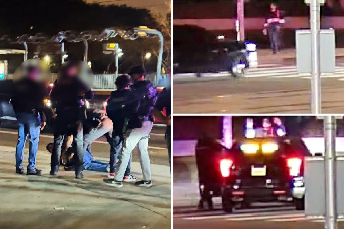 Shocking moment Nick Reiner surrenders on LA street as cops corner him following alleged murders of Rob, Michele