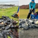 Mystery unfolds after hundreds of shoes wash up on beach from Victorian shipwreck