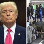 Trump travel ban could expand to 30 countries after DC National Guard shooting – list coming ‘soon’ 