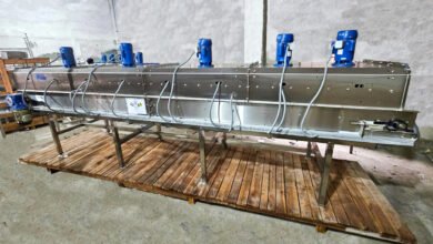 Share of processed foods in agri-food exports reaches 20.4 pc: Govt