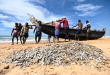 Govt doubles down on structured skilling for fish farmers, 22,921 benefitted