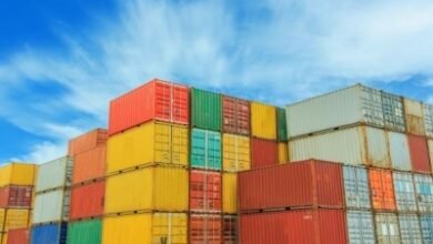 India pushing ahead to diversify exports amid US tariff turmoil: Report