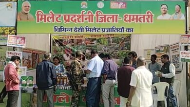 Chhattisgarh: Millet festival enlightens people about benefits of coarse grains in Dhamtari