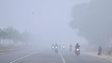 Rajasthan: Schools to remain closed in 20 districts due to dense fog 7 Rajasthan: Schools to remain closed in 20 districts due to dense fog