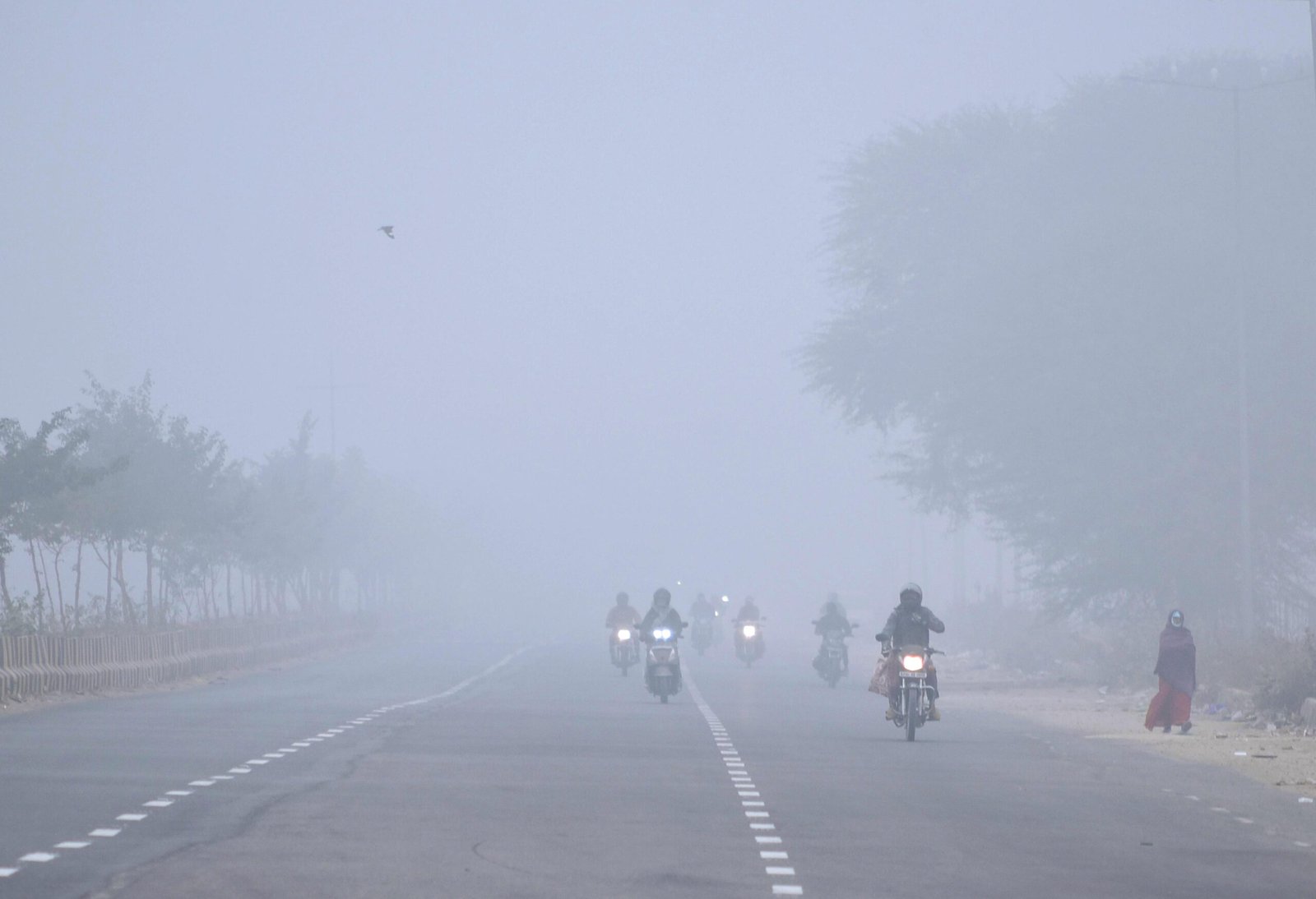 Rajasthan: Schools to remain closed in 20 districts due to dense fog