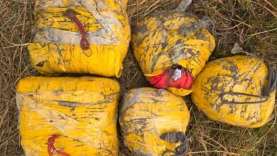 20 kg heroin seized in Punjab; four arrested