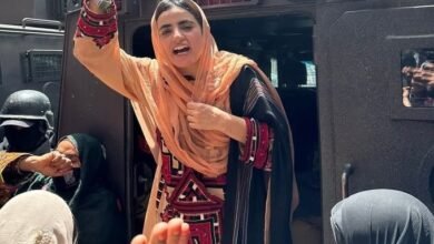 Pakistan's problem is with Baloch identity not resistance: Human rights activist