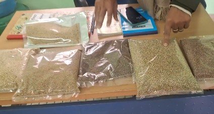 PM Modi's initiative: Ghazipur leads UP with first millet unit 1 PM Modi's initiative: Ghazipur leads UP with first millet unit