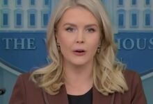 Trump believes acquiring Greenland is US security priority: White House