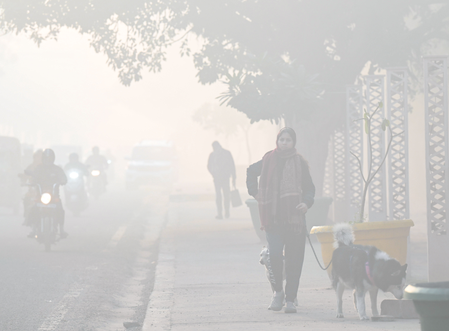 Delhi-NCR grapples with cold wave, poor air quality 4 Delhi-NCR grapples with cold wave, poor air quality