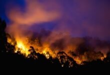 Evacuations ordered amid catastrophic bushfire danger in Australia's Victoria