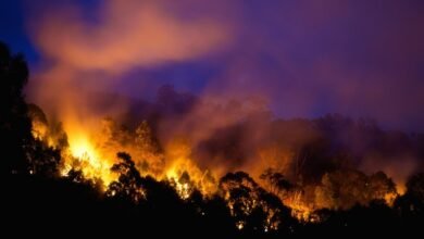 Evacuations ordered amid catastrophic bushfire danger in Australia's Victoria