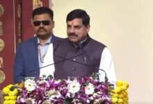 MP's Ratapani Tiger Reserve named after legendary archaeologist Dr Vishnu Shridhar Wakankar