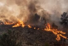 Wildfires burn over 100,000 hectares, prompt evacuations in South Africa's Western Cape