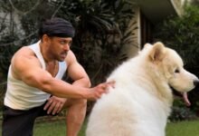 Salman Khan shares pictures of his special Sunday outing with furry friend