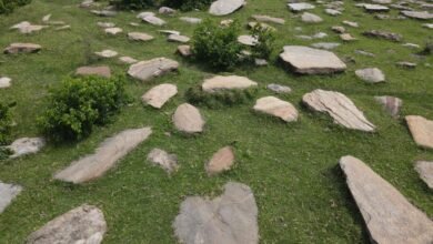 Jharkhand’s megalithic heritage to be showcased at Davos conference