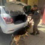 Drugs worth Rs 29.4 crore seized in Mizoram, one arrested